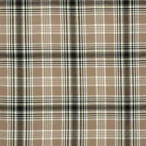 CANYON  EARTH 104***