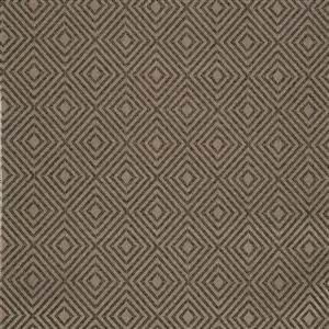 EXTERIOR FOSSIL 113***