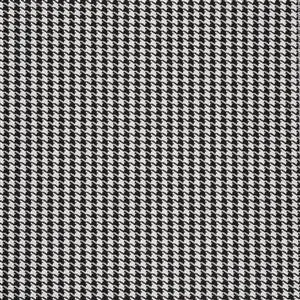 ROCKS DALMATIAN 110***