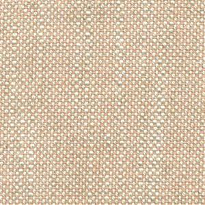 Apricot 15