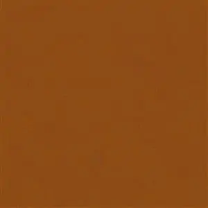 Burnt Orange 504