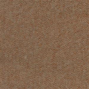 Teak 485
