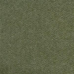 Basil 491