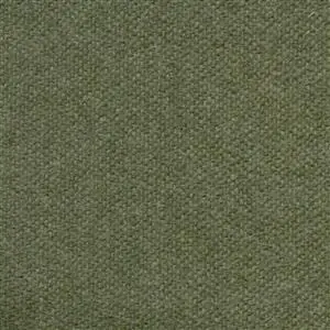Basil 491