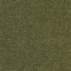 Khaki 419
