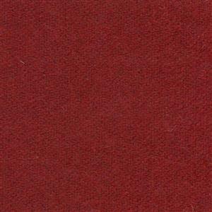 Rasberry 502