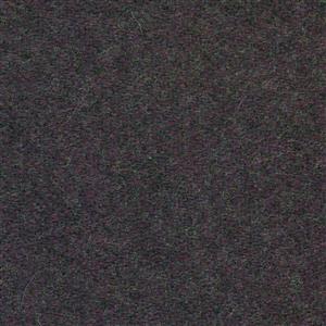Purple 443