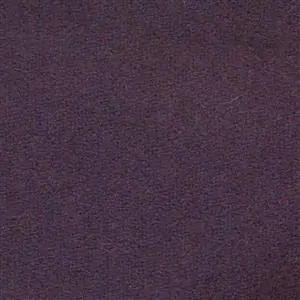 Violet 498