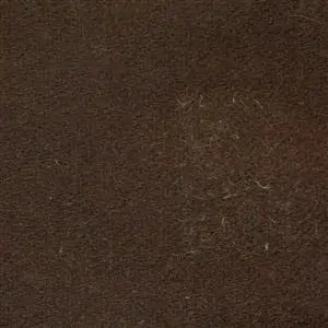 Heliotrope 429