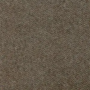 Cacao 489