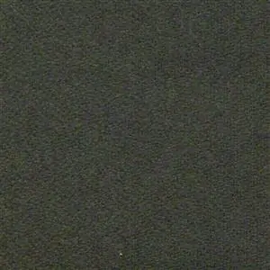 Plant 540