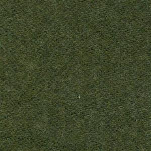 Lichen 492