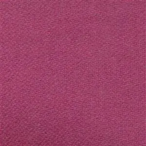 Fuchsia 500