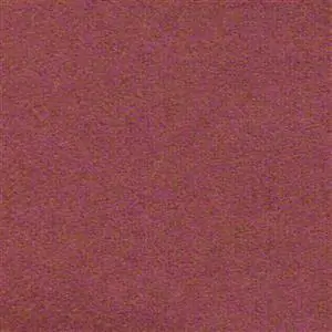 Sorbet 544
