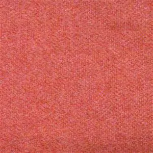 Confeetti 445