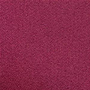 Crocus H487