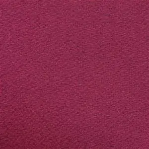Crocus H487