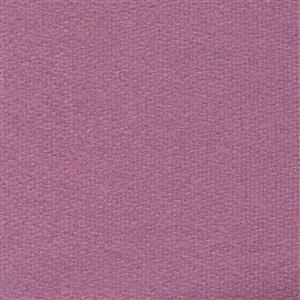 Primrose H489
