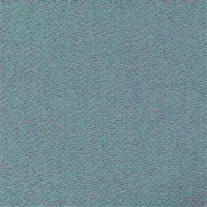 Forget Me Not 550