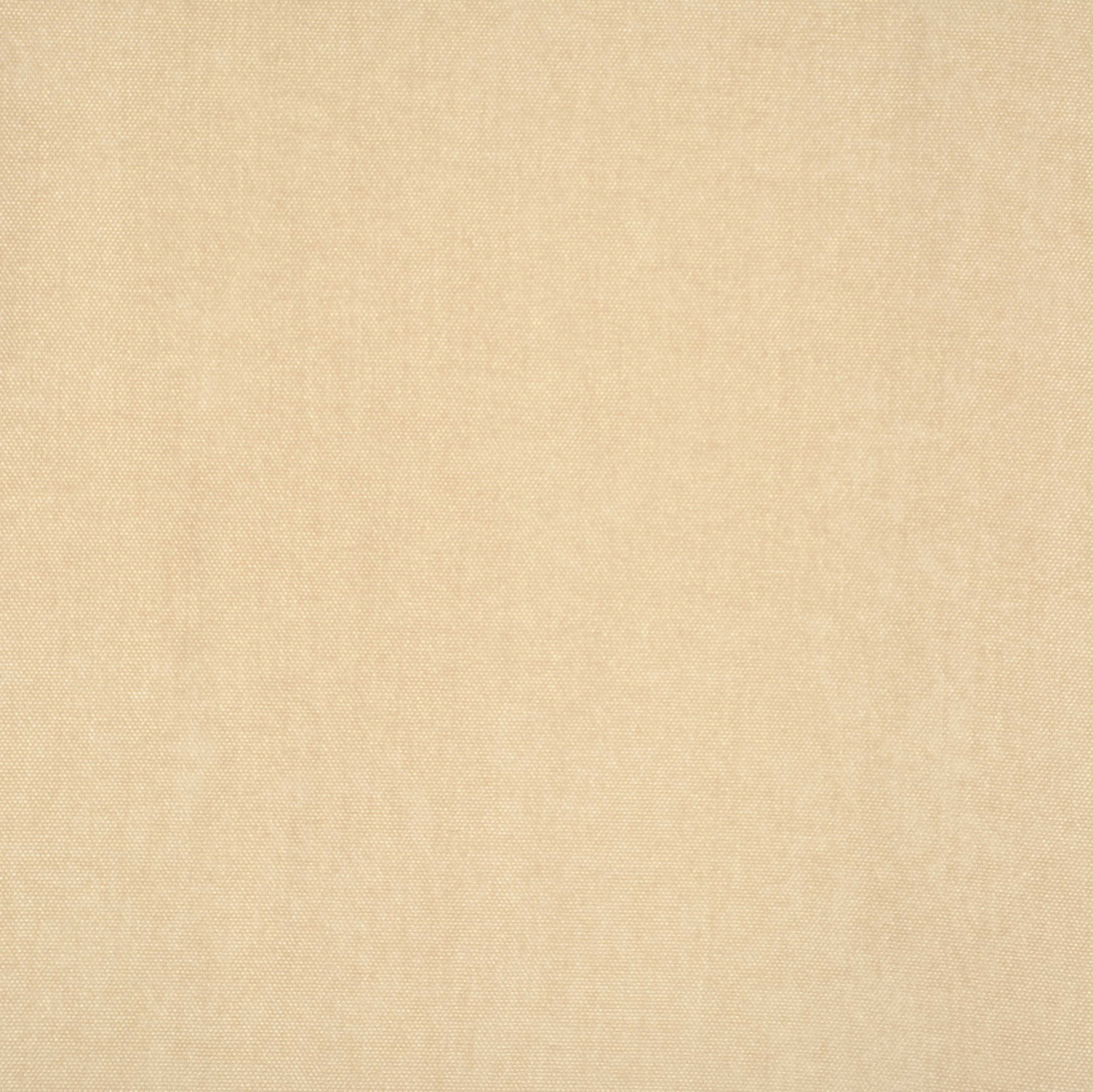 Ivory 008