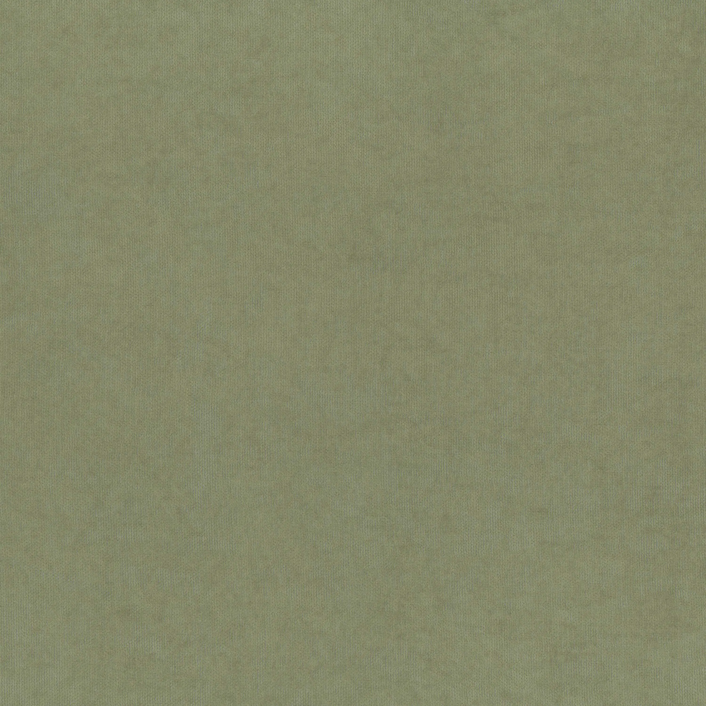 Seagrass 919