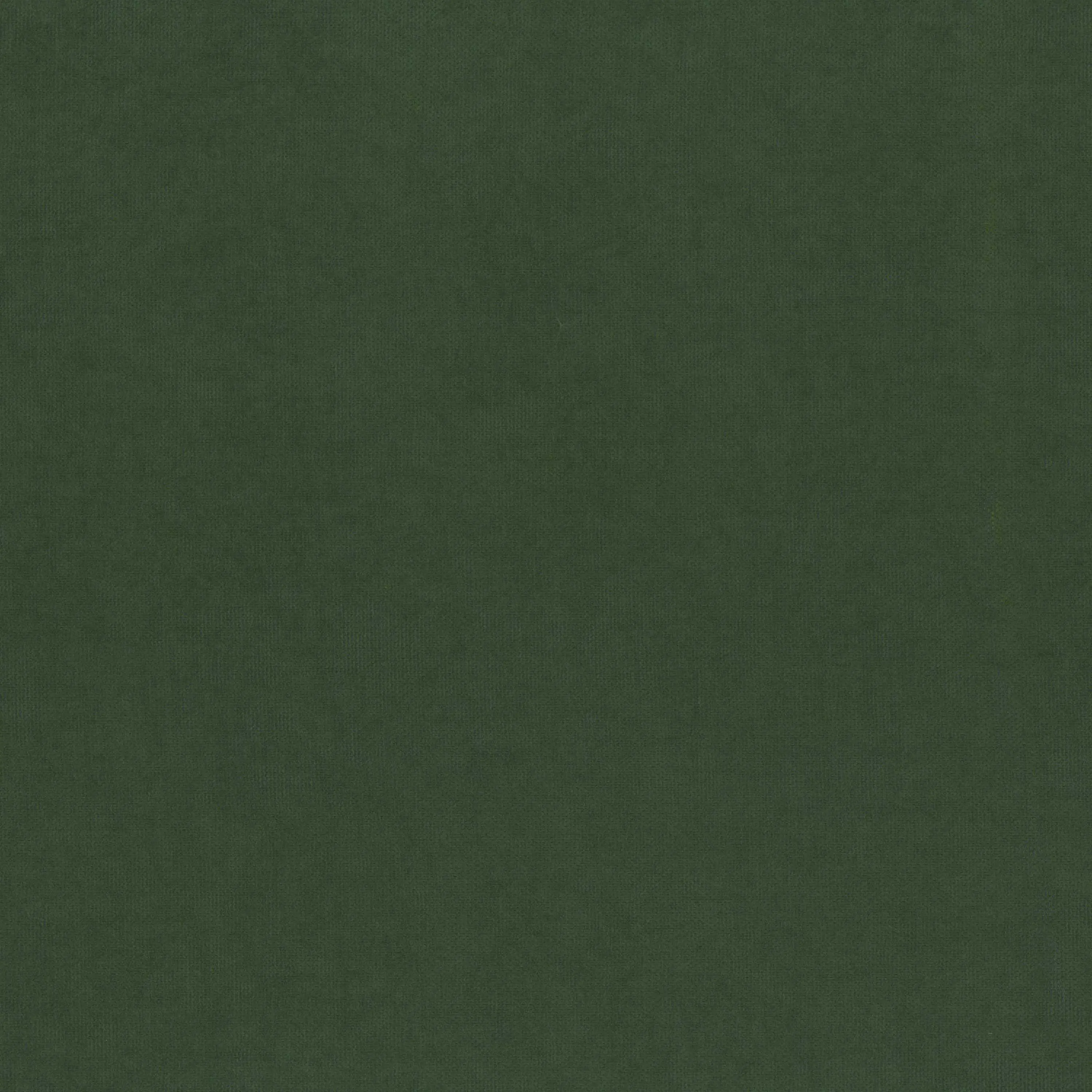 Kombu Green 920