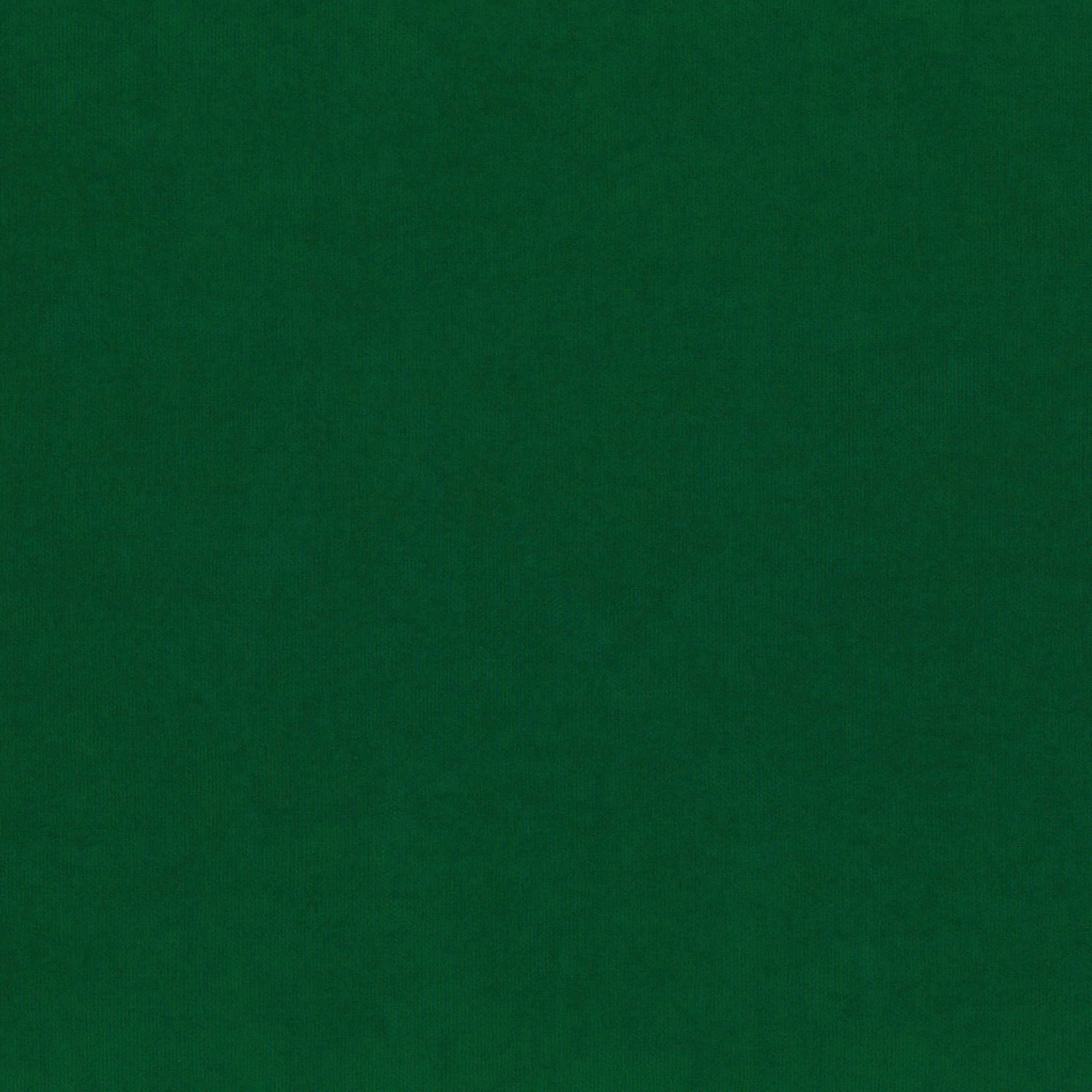 Green Jacket 921