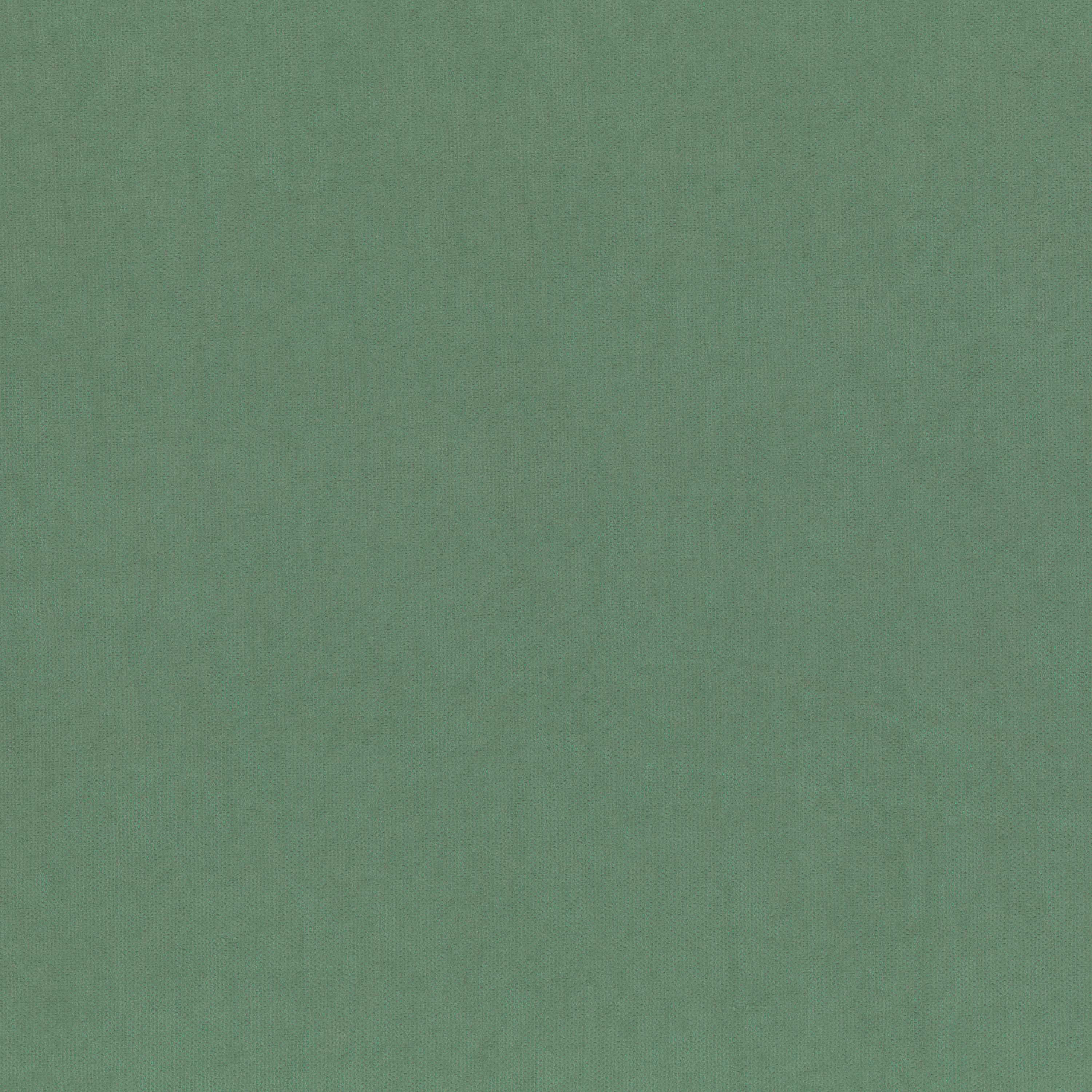Iceberg Green 248