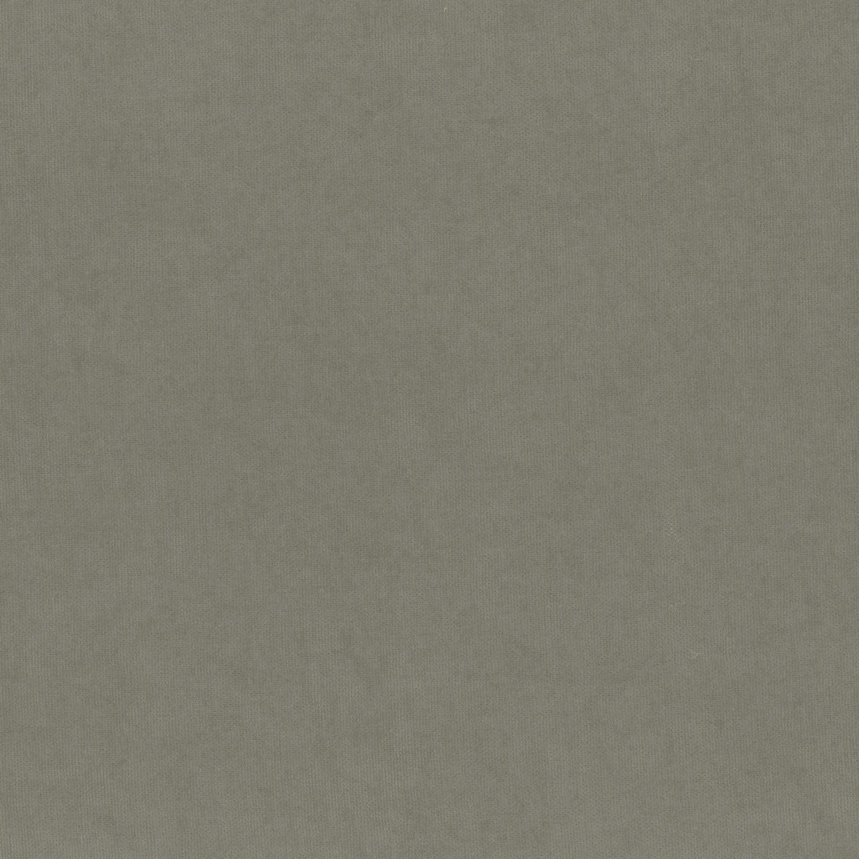 Frost Gray 931