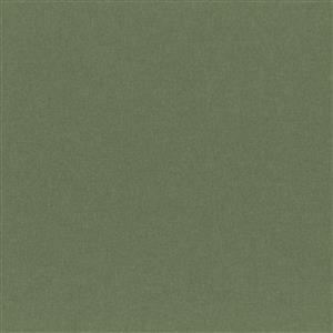 Capulet Olive 21