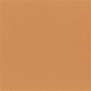 Apricot 59