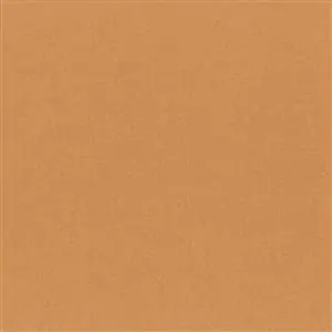Apricot 59