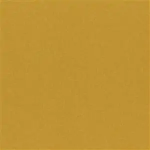 Amber Gold 32
