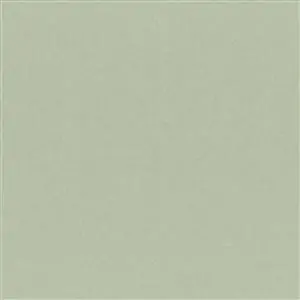 Mineral Gray 72