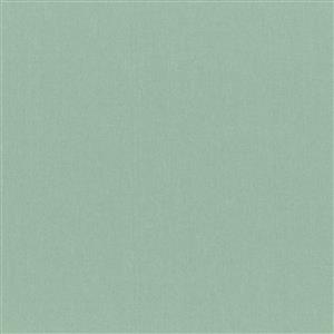 Aqua Gray 54