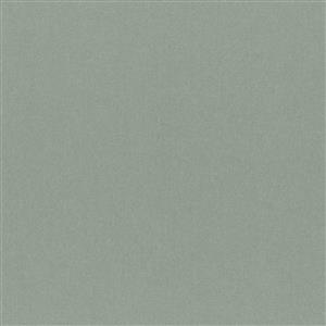 Titanium 30
