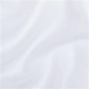 Snow 05