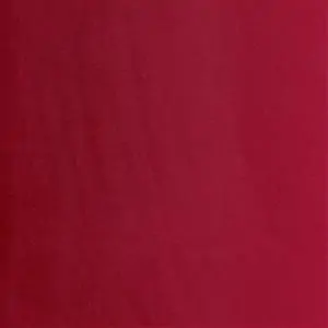 Raspbeerry 37
