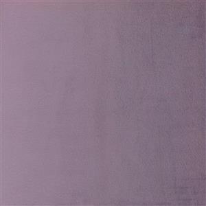 Grape 22