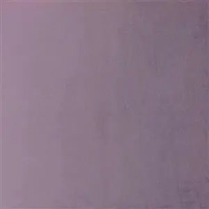 Grape 22