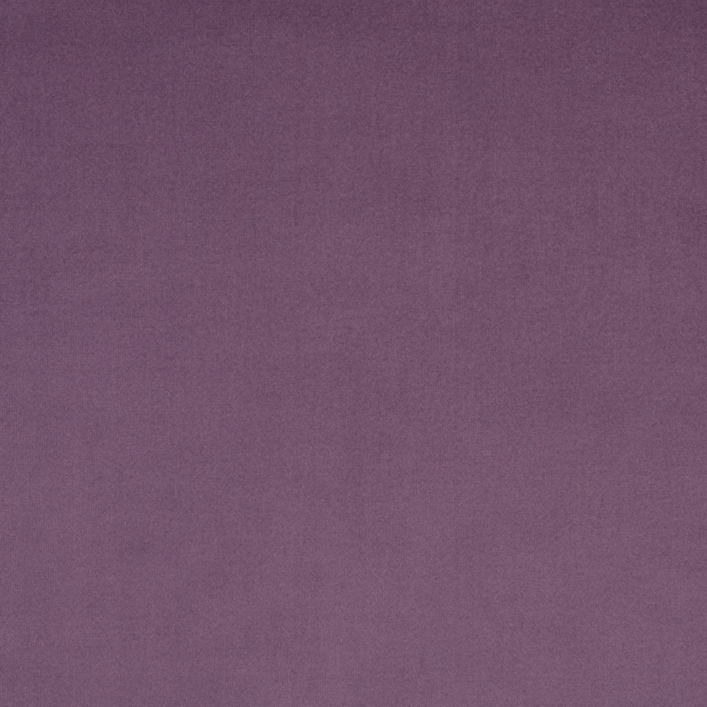Grape 22