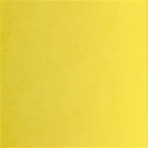 Lemon 41