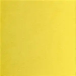 Lemon 41