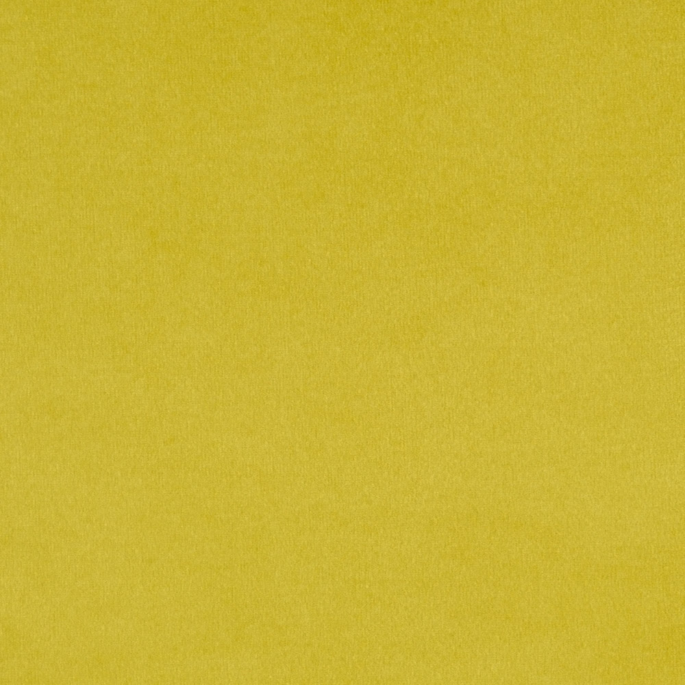 Lemon 41