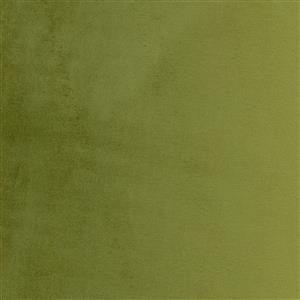 Olive 18