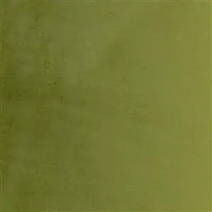 Olive 18