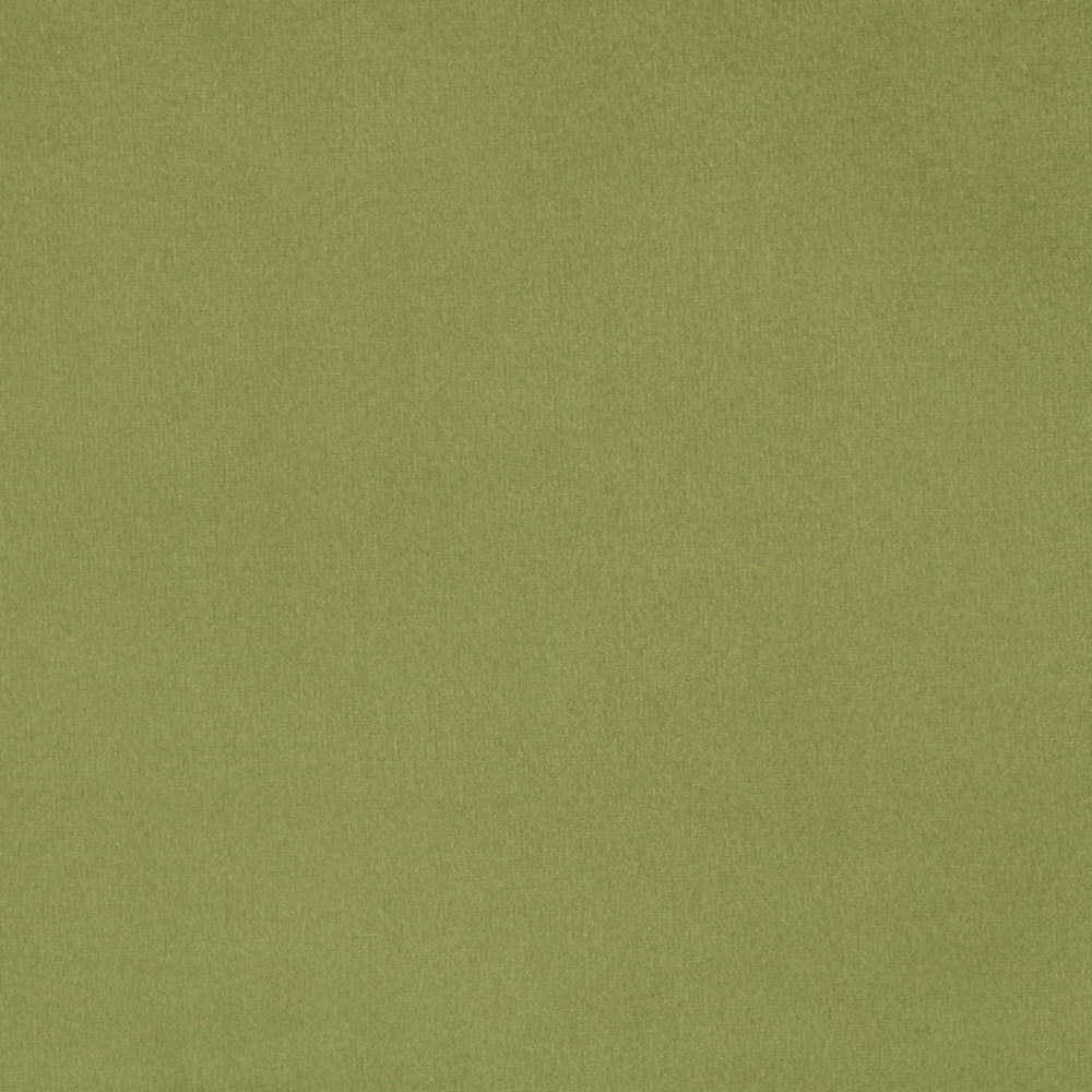 Olive 18
