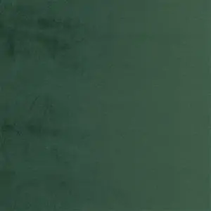 Forest 19