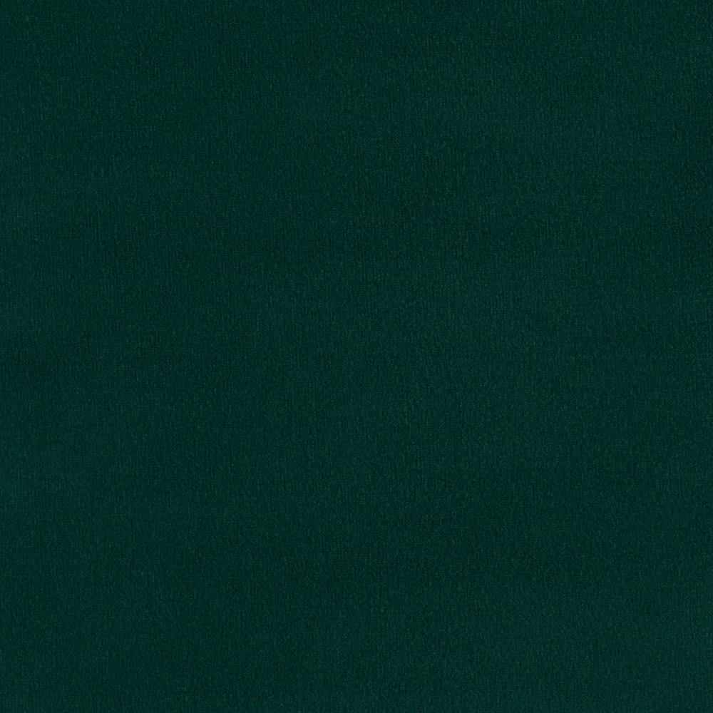 Forest 19
