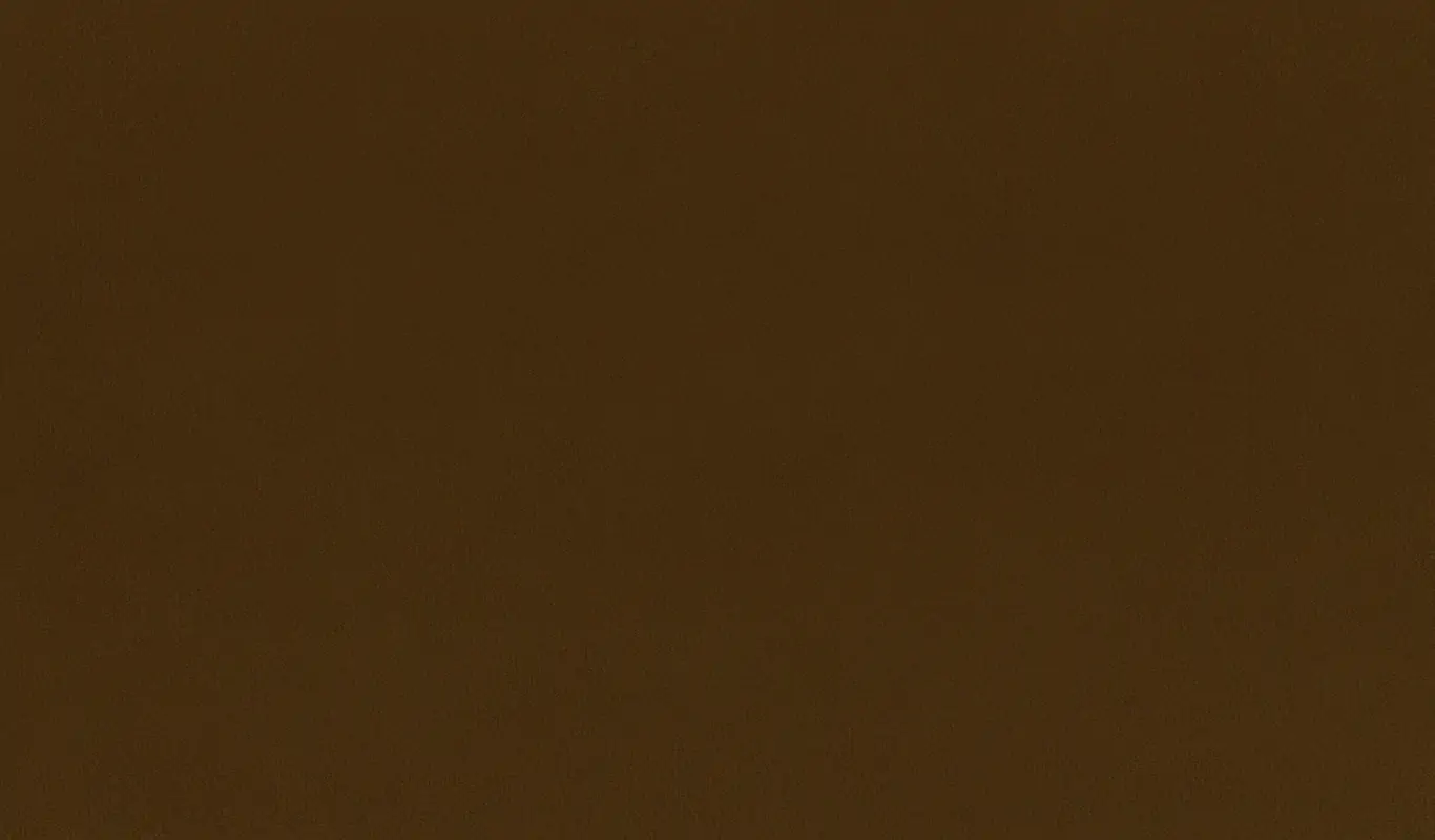 Caramel 16